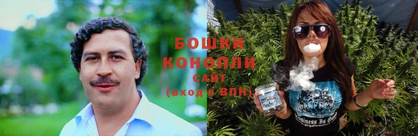 ALPHA PVP Вяземский