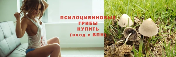 МДПВ Вязники